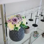 Deluxe Look * זאדאר
